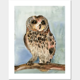 Wise Owl Posters and Art